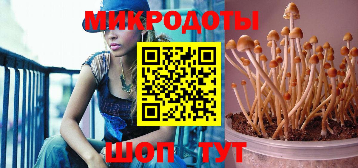 Галлюциногенные грибы Psilocybine cubensis Сафоново