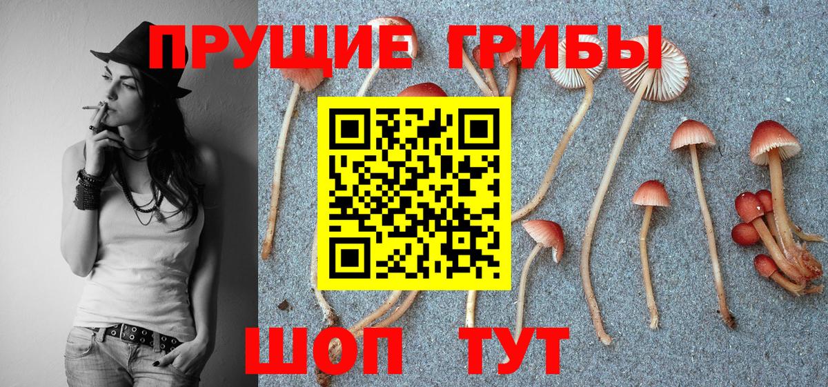 Псилоцибиновые грибы Magic Shrooms  Псилоцибиновые грибы прущие грибы  Вход с VPN  Сафоново 